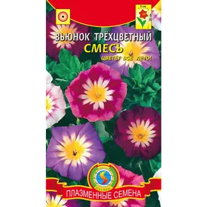 Вьюнок Трехцветный Смесь 0,5 г, Плазменные семена