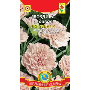 

Гвоздика садовая Ля Франс 0,1 г, Плазменные семена