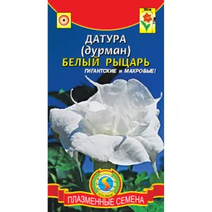 

Датура (Дурман) Белый рыцарь 3 шт, Плазменные семена