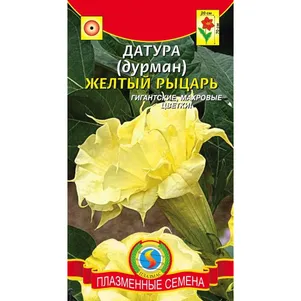 

Датура (Дурман) Желтый рыцарь 3 шт, Плазменные семена