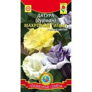 Датура (Дурман) Махровый Гигант 3 шт, Плазменные семена
