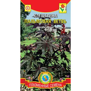 Клещевина Пальмовая ветвь 5 шт, Плазменные семена