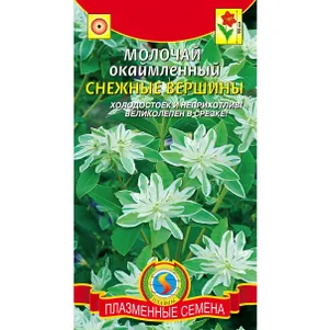 Молочай Снежные вершины окаймленный 0,3 г, Плазменные семена