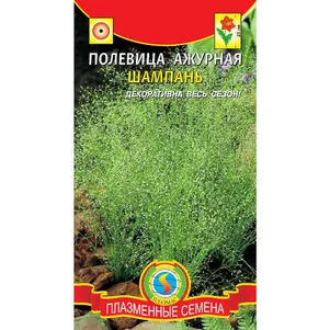 

Полевица Шампань ажурная 100 шт, Плазменные семена