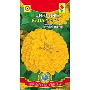 Цинния Канарейка 0,3 г, Плазменные семена