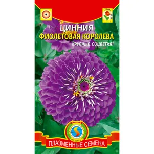 

Цинния Фиолетовая королева 0,3 г, Плазменные семена
