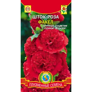 Шток роза Факел 0,1 г, Плазменные семена