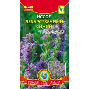 

Иссоп Синий лекарственный 0,2 г, Плазменные семена
