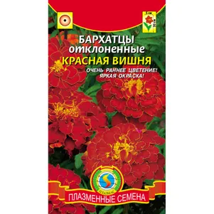 

Бархатцы Красная вишня 45 шт, Плазменные семена