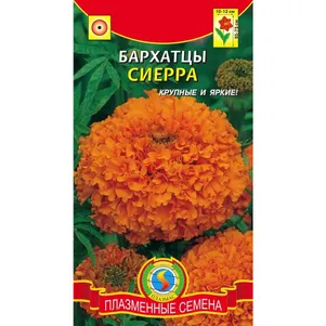 

Бархатцы Сиерра 45 шт, Плазменные семена