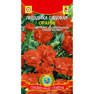 Гвоздика Оранж садовая 0,1 г, Плазменные семена