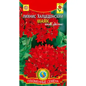 Лихнис Халцедоника Маяк 0,1 г, Плазменные семена