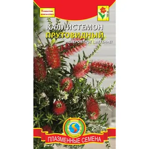 

Каллистемон прутовидный 3 шт, Плазменные семена