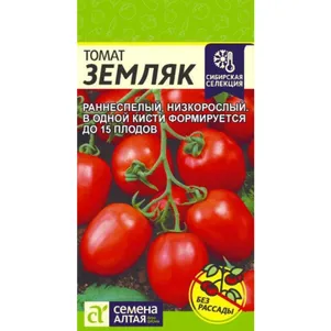 

Томат Земляк ЦП 0,05 г, Семена Алтая