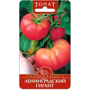 

Томат Ленинградский гигант 25 шт ц/п,крупноплодный, Семена Биотехника