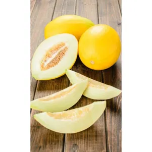 Дыня Уральский скороспел цп Уральский дачник Семена Марс 66₽