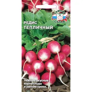 Редис Тепличный ц/п 3 г, Семена Седек