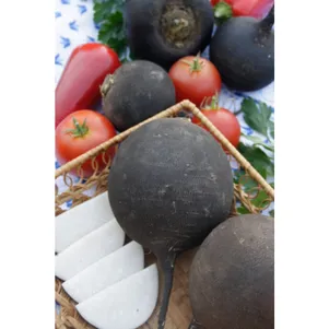 Редька Негритянка цп 1 г Семена Седек 42₽