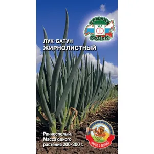 

Лук батун Жирнолистный ц/п 1 г, Семена Седек