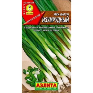 Лук батун Изумрудный пикант ц/п 0,1 г, Семена Аэлита