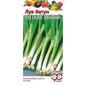

Лук батун Русский зимний ц/п 0,5 г, Семена Гавриш