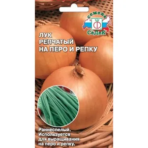 Лук На перо и репку репчатый ц/п, Семена Седек