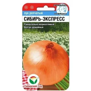 Лук Сибирь-экспресс репчатый ц/п 1 г, Семена Сибирский сад