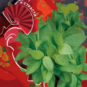 Базилик Гвоздичный цп 03 г Семена Гавриш 29₽