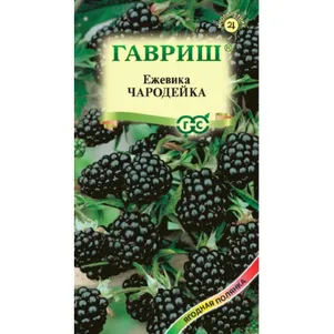 Ежевика Чародейка ц/п 10 шт, Семена Гавриш