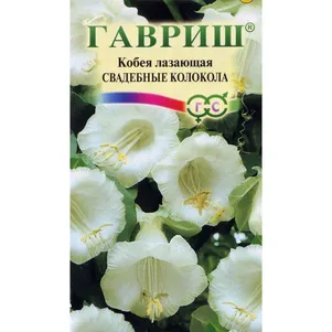Кобея Свадебные колокола лазающая 5 шт, Семена Гавриш