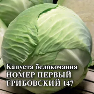 Капуста Грибовский №1 147 белокочанная 0,5 г, Семена Гавриш