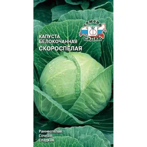 Капуста Скороспелая F1 белокочанная Семена Седек 43₽