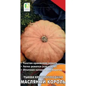Тыква Масляный король крупноплодная цп 10 шт Семена Поиск 36₽