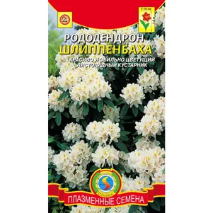Рододендрон Шлиппенбаха 0,005 г, Плазменные семена
