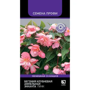 Бегония клубневая ампельная Энканта Пинк 7 шт, Семена Поиск