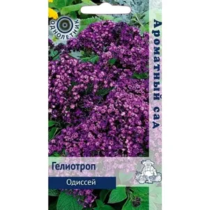 Гелиотроп Одиссей 0,03 г, Семена Поиск