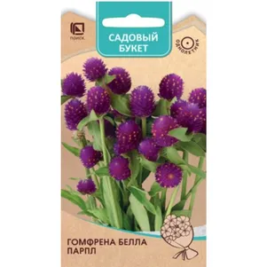

Гомфрена Белла Парпл 10 шт, Семена Поиск