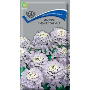 Иберис Гибралтарика 0,1 г, Семена Поиск