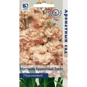 Маттиола Ароматный Букет Персиковый 0,05 г, Семена Поиск