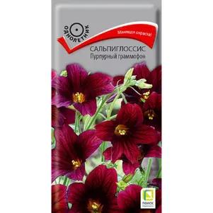 Сальпиглоссис Пурпурный граммофон 001 г Семена Поиск 115₽
