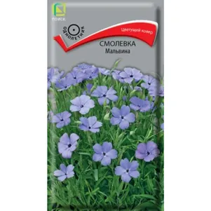 Смолевка Мальвина 0,05 г, Семена Поиск