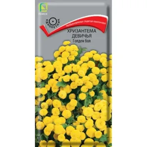 Хризантема Голден Бол девичья 005 г Семена Поиск 53₽