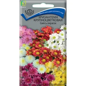 Хризантема Смесь окрасок крупноцветковая 0,05 г, Семена Поиск