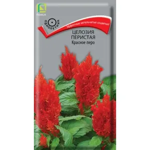 

Целозия Красное перо перистая 0,1 г, Семена Поиск