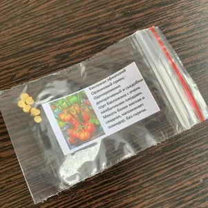 Баклажан Эфиопский турецкий оранжевый 5 сем Частная коллекция семян 140₽