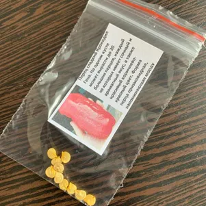 Перец Крокодил Гена сладкий 10 сем Частная коллекция семян 70₽