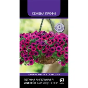 Петуния Изи Вэйв Бургунди Велюр ампельная 5 шт, Семена Поиск