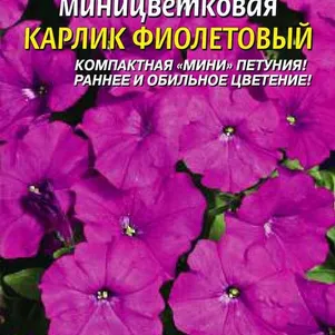 

Петуния Карлик Фиолетовый миницветковая F1
