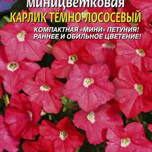 Петуния F1 миницветковая Карлик Темно-лососевый 59₽