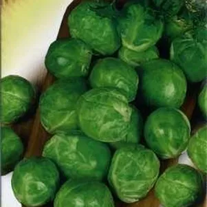 Брюссельская капуста Геркулес 02 г Семена Гавриш 36₽